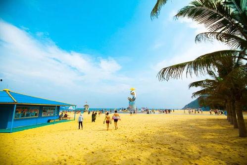 阳江闸坡新闻爆料,揭秘当地最新动态与热点事件  第2张